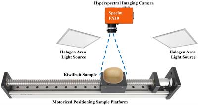 Non-destructive assessment of soluble solids content in kiwifruit using hyperspectral imaging coupled with feature engineering